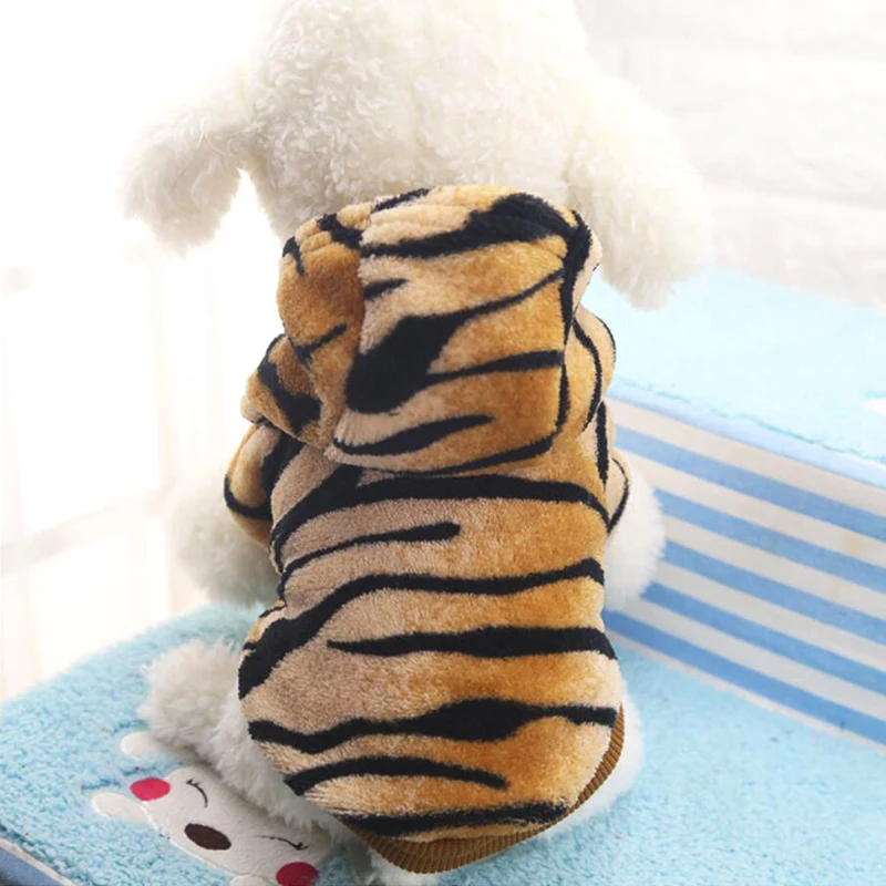 HTB1nG4jJNWYBuNjy1zkq6xGGpXa5