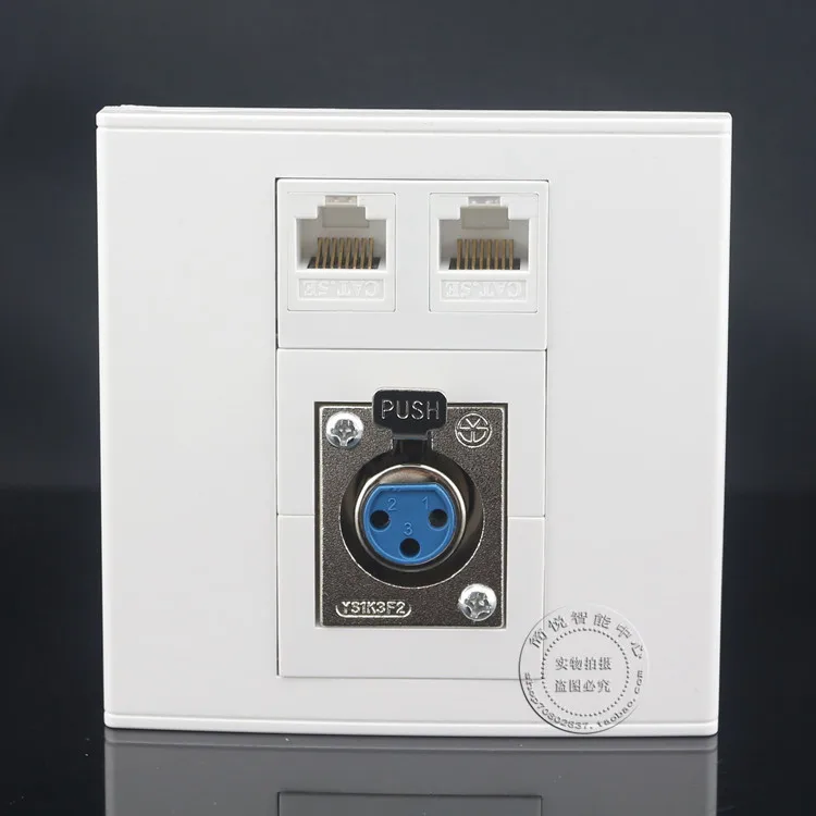 Wall Face Plate Microphone XLR & Two Ports RJ45 Cat5e Network LAN Panel Faceplatein Computer