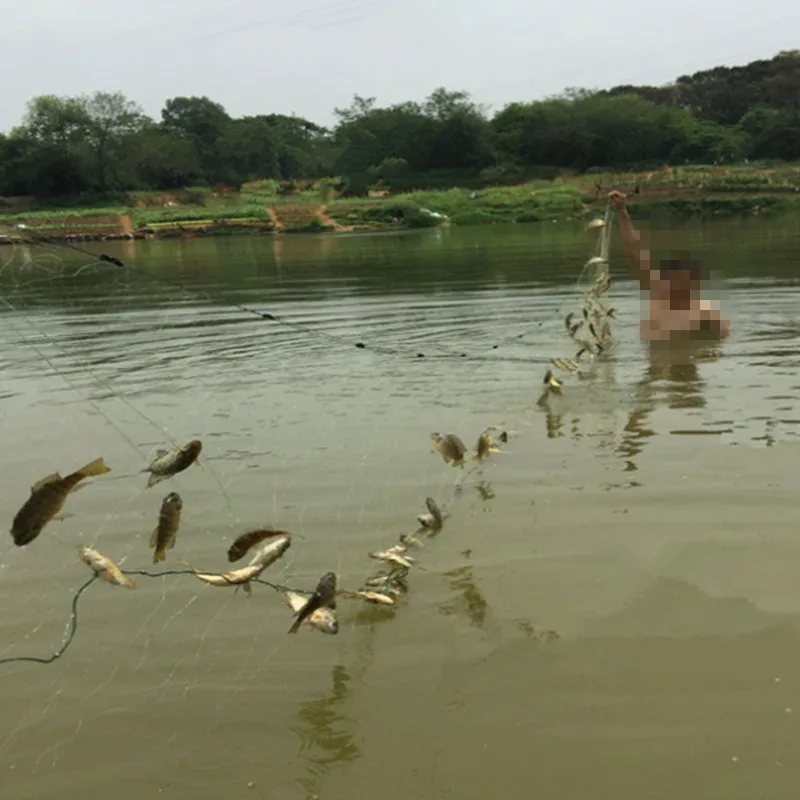 Monofilamento de Nylon Rede de Pesca Rede de Emalhar Armadilha de Pesca Net para a Pesca Grade Camada Pegajosa Net Peixe Rakolovka Visnet 1.2 M-2 m 3 11 net rede de pesca rede de emalhar