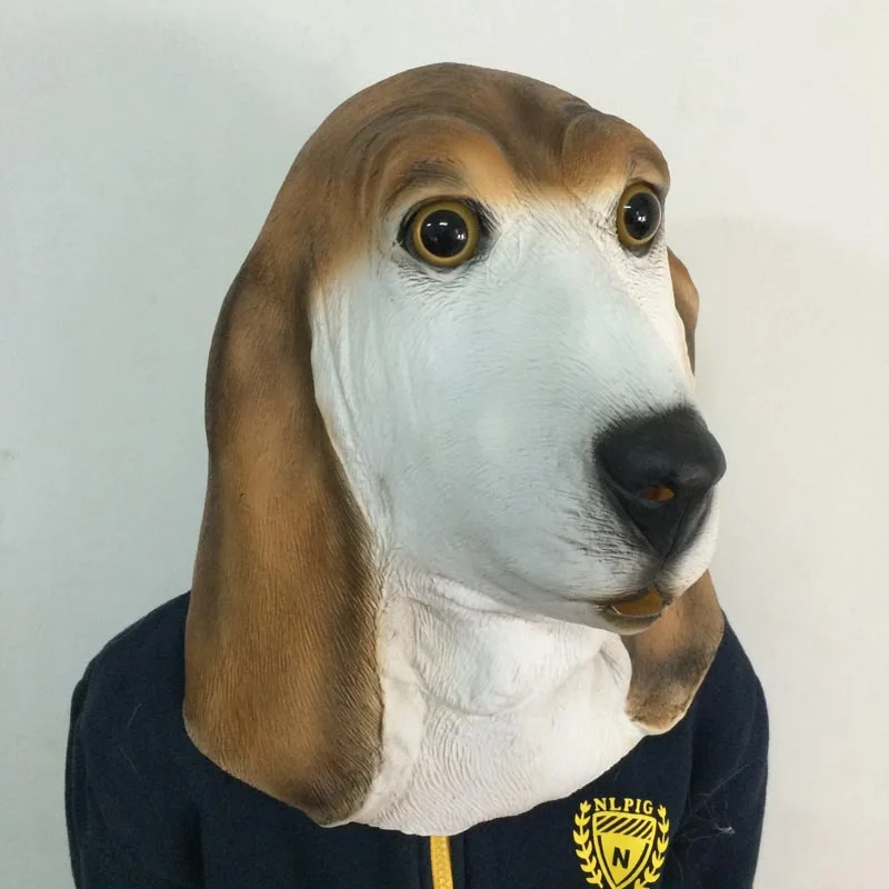 2629838503_2081277280