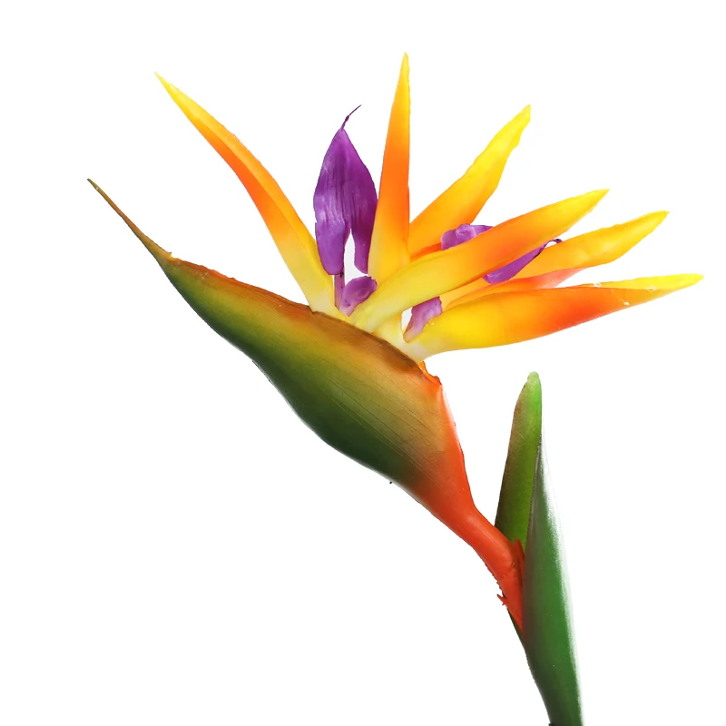 상품 이미지 14