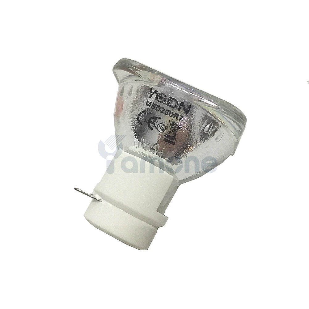 7R Lamp 02