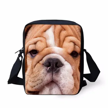 

FORUDESIGNS Popular Hot Sell Cute Animal Pattern Mini Messenger Bags For Women And Ladies Crossbody Daily Travel Student Bags