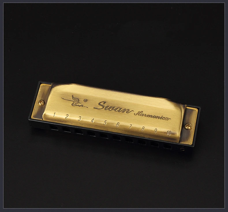 Хроматический ключ C Harmonica 10 отверстий 40 тонов рот органного серебра с изысканным чехлом