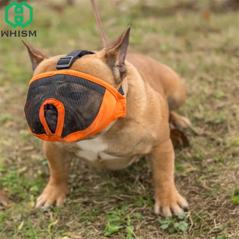 Buy WHISM Dog Muzzle for Short Snout Dogs Breathable