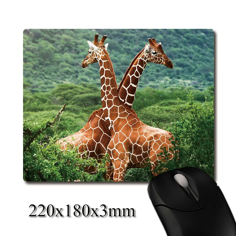 Male giraffes in battle image printed Heavy weaving anti-slip rubber pad office mouse Coaster Party favor gifts 220x180x3mm | Дом и сад