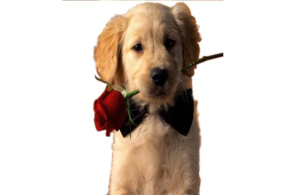 5d Diamanten Malerei Youtube