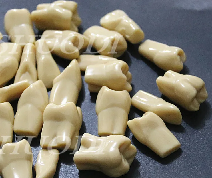 

28 Pcs of Two Times Resin Tooth Model for Carving Teeth Study Dental Materials