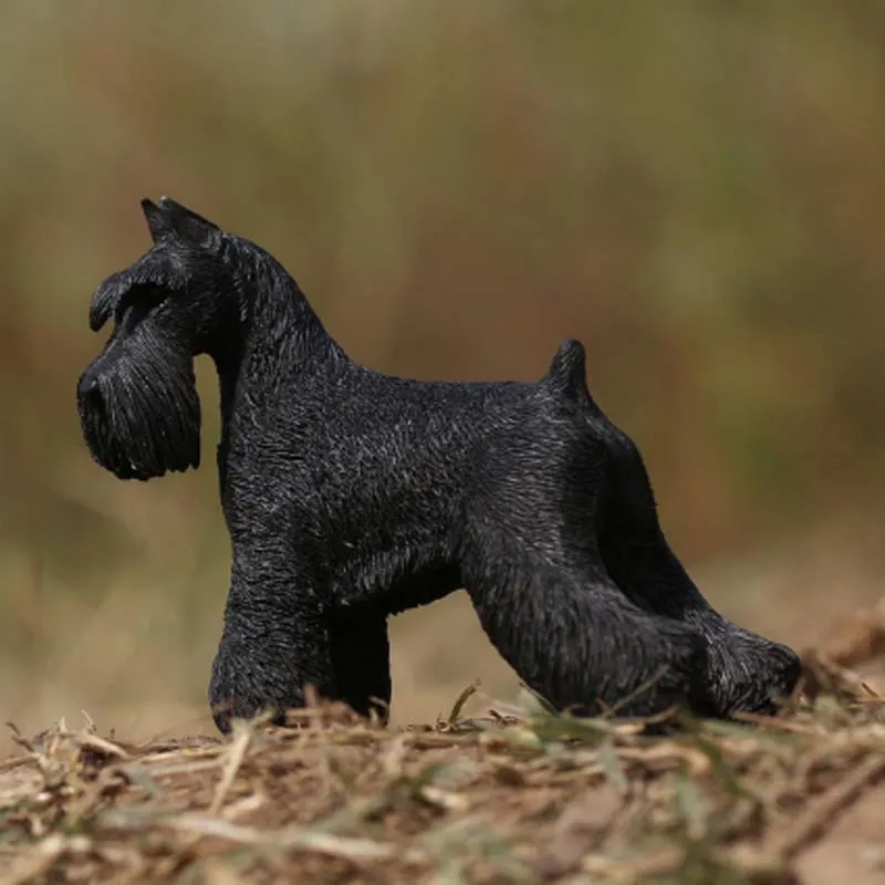 Mnotht 1/6 Миниатюрная модель Schnauzer для домашних животных MRZ019 моделирование резная