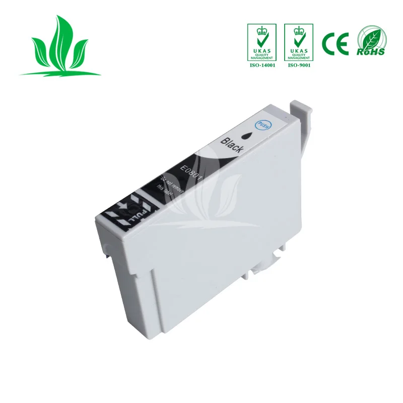 0801XL 2 комплекта совместимый чернильный картридж для EPSON Stylus Photo P50 T59 R265 R285 R360 RX560 RX585