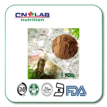 1000g High quality male silk moth / Bombyx mori / Male silkworm moth Extract powder hot sale