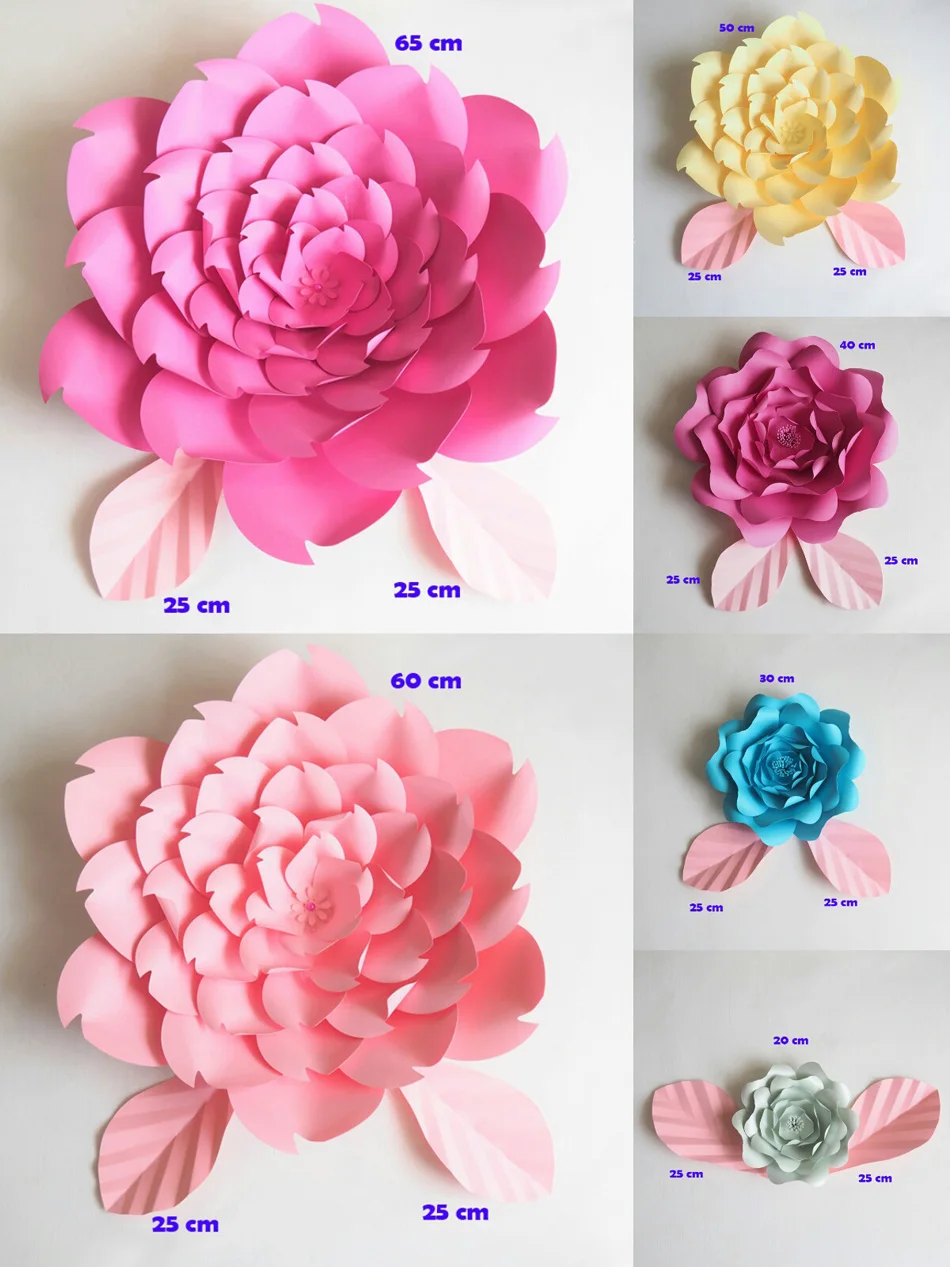 size 25 cm