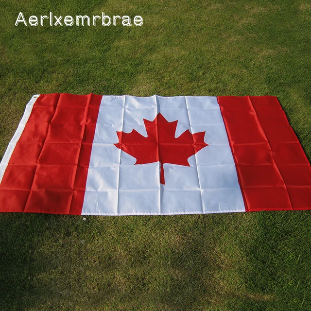 free shipping aerlxemrbrae flag