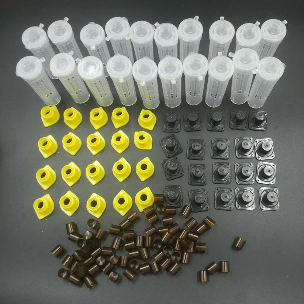 

1 Set Beekeeper Tools Bees King Queen Rearing Cupkit System Bee Beekeeping Catcher Box Cell Nicot Cups GreatTool Complete Kit