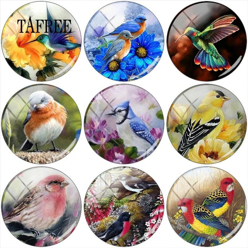 

TAFREE 12mm/15mm/16mm/18mm/20mm/25mm Cartoon Animal Parrot Bird Round Photo Glass Cabochon Demo Flat Back Making Findings