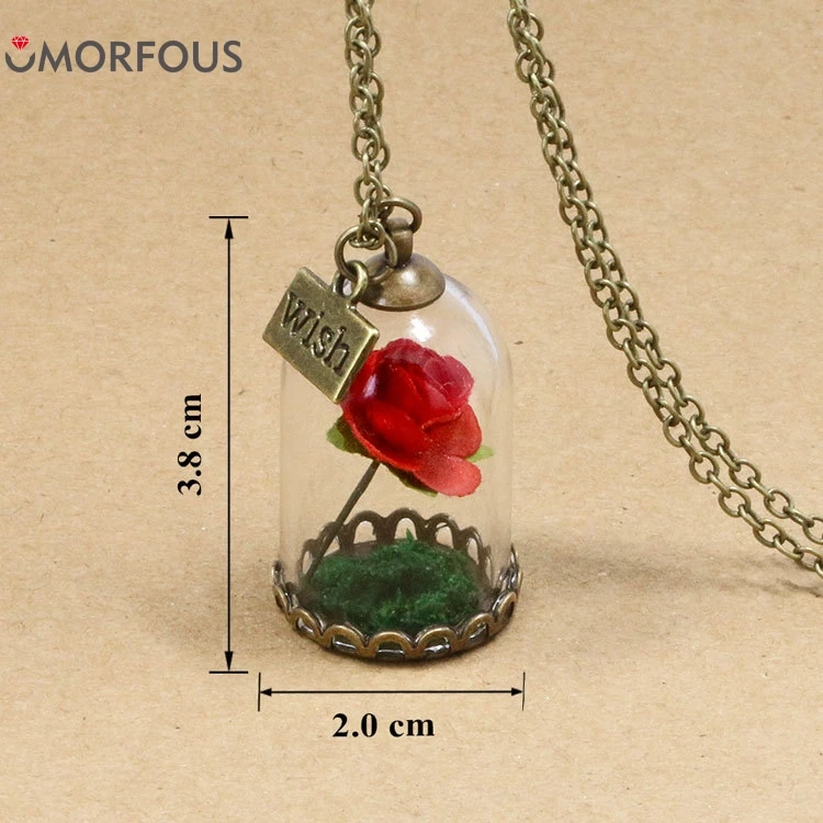 2017 Fashion Hot Glass Vial Necklace Little Prince Rose Necklace Retro Crystal Natural Dried Flowers Necklace Christmas Gifts