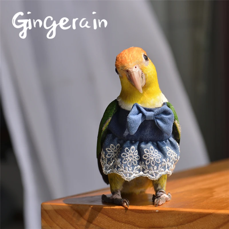 Gingerain одежда с птицами, одежда с попугаями, кружевная пачка, оригинальная ручная работа, одежда с птицами, кружевная пачка