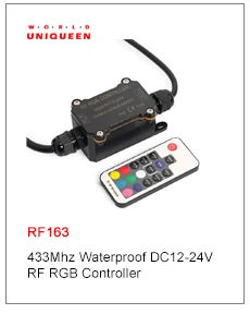 RF163