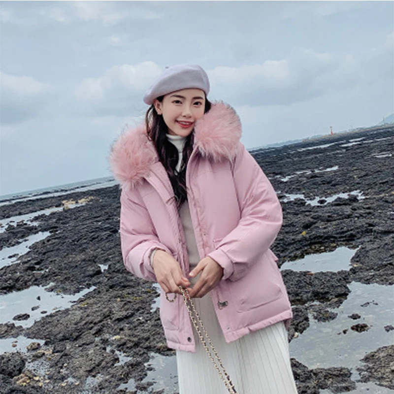 

Women plus size Down Cotton coat Fall and Winter 2019 New Korean Version of Loose Big Collar Thickened Cotton jackets