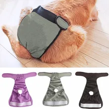 Trsnser рубашка для собак кофе для здоровья домашних животных менструальная физиологическая безопасная Водонепроницаемая физиологическая Одежда для собак 19May24 P35