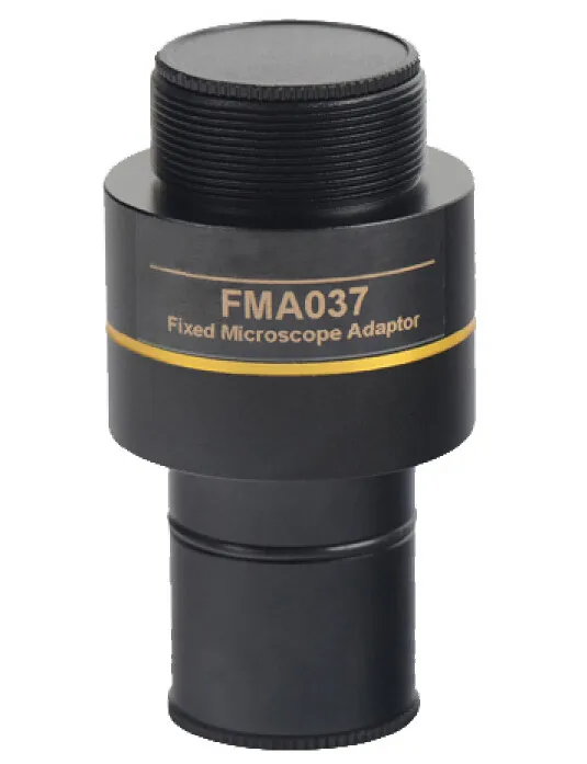 FMA037