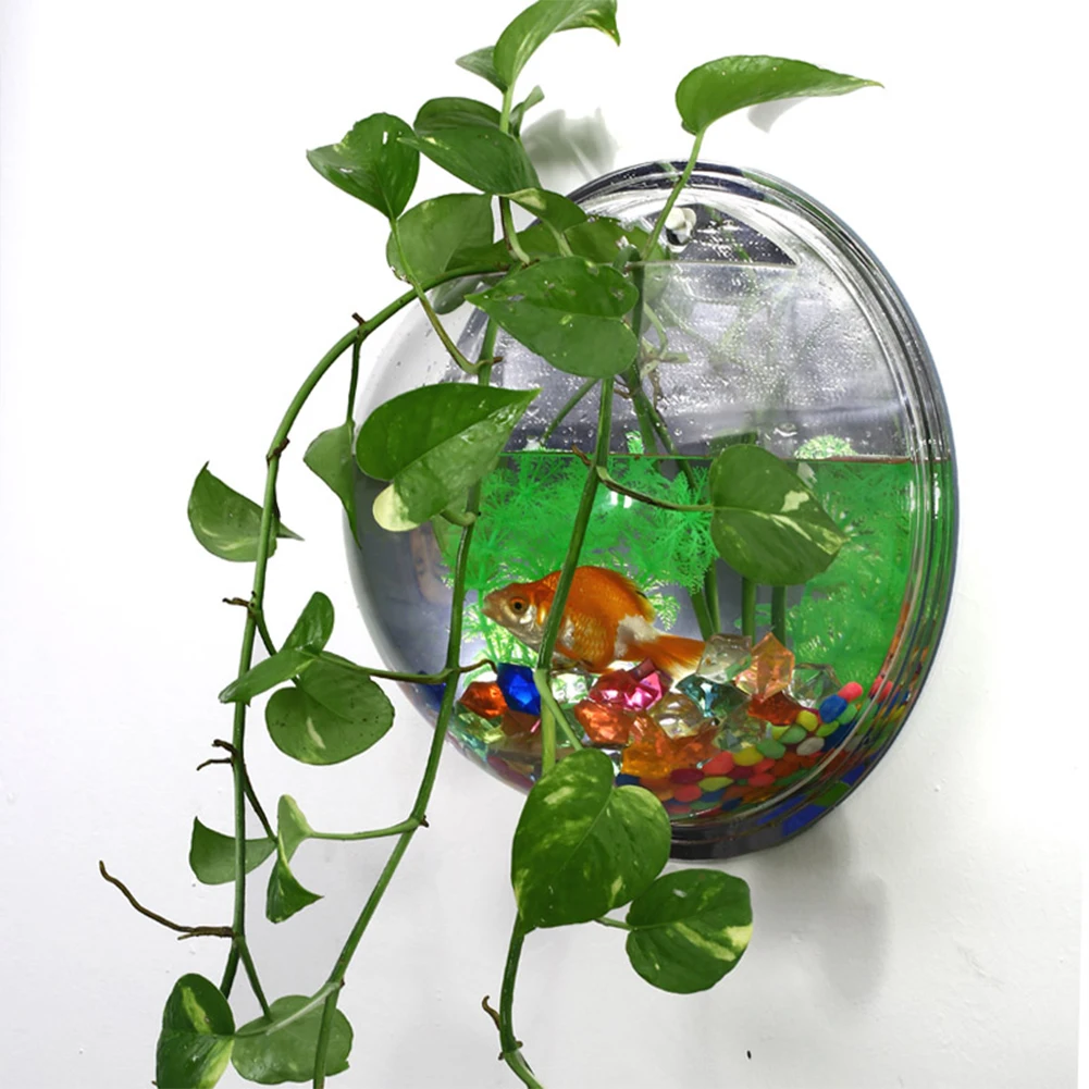 Popular Aquarium BettaBuy Cheap Aquarium Betta lots from China