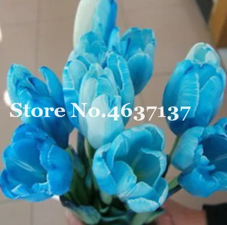 100pcs Multifarious Tulip Flowers, Tulip Bonsai Of Perennial Garden Flower(Not Tulip Bulb)Herbs For Home Garden Courtyard Beauty