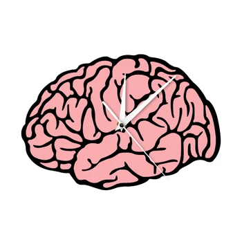 

Brain Wall Clock Neuroscience Mental Body Part Organ Medical Wall Art Anatomy Decorative Wall Watch Neurologist Doctor Gifts