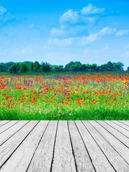 

Life Magic Box studio photo background garden achtergrond doeken fotografie photography backdrops kids S-1963