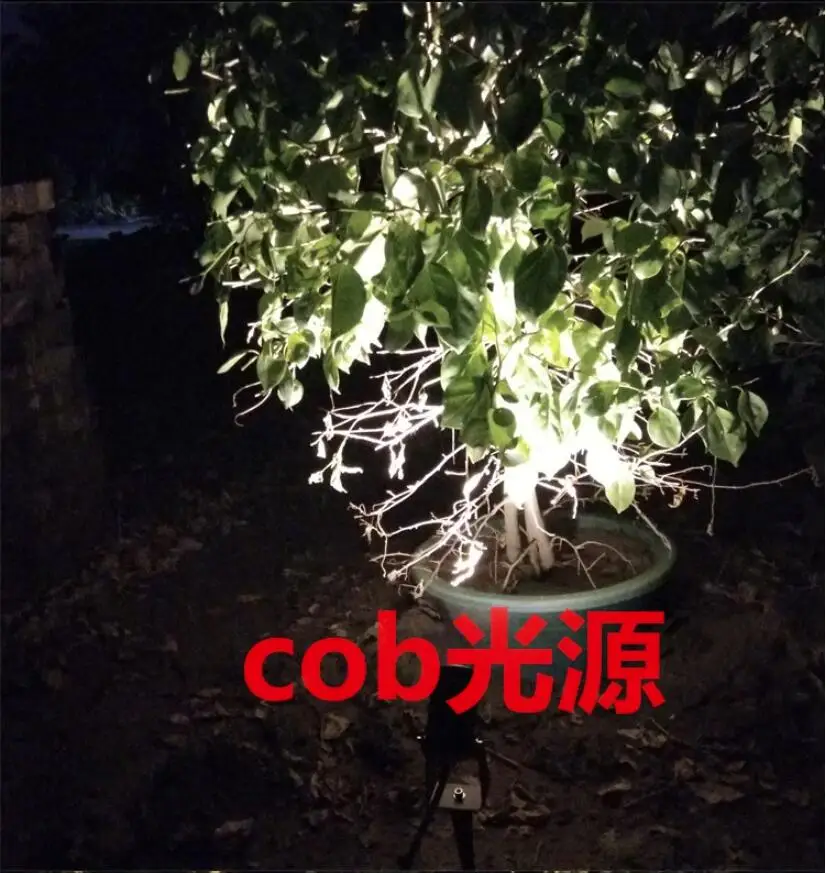 QQ截图20190705102654