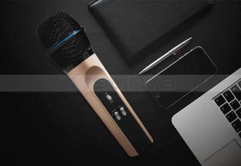 Speaker with wireless microphone 8040170721 (8)