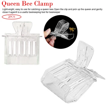 

2pcs Queen Bee Catcher Cage Beekeeping Tools Isolation room Beekeeping Clip Colorless plastic Bee Clip Beekeeper Tool