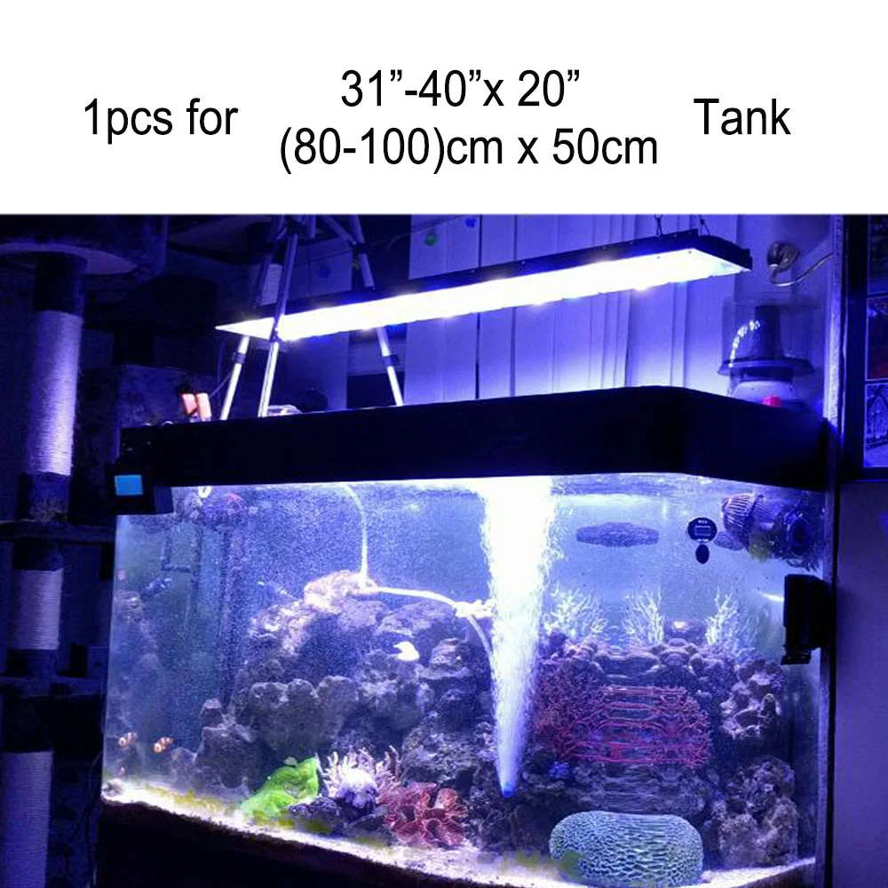 2.实物配缸照-7-1