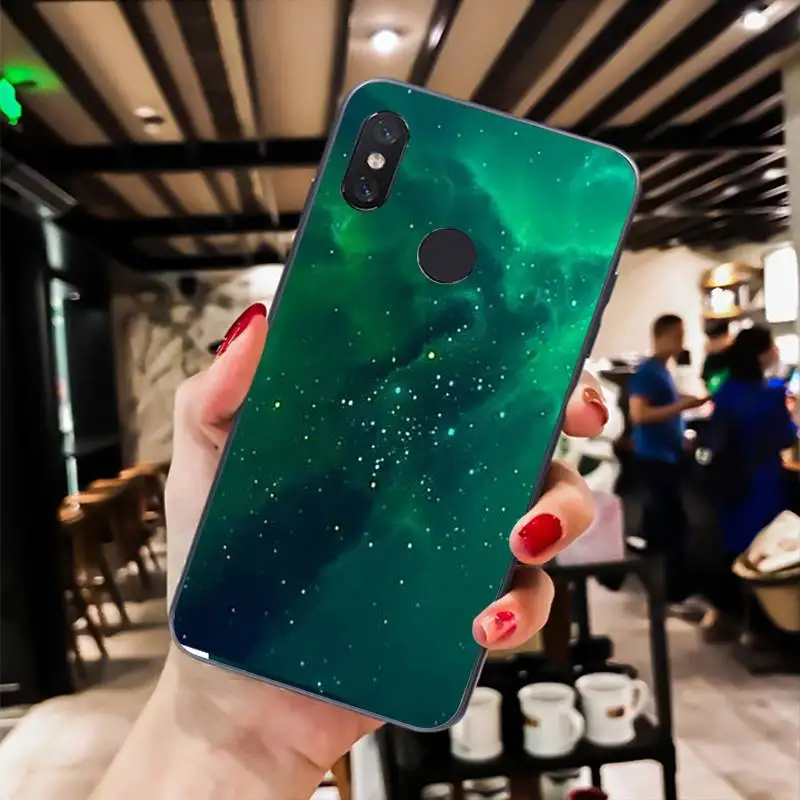 Rick Morty DIY Phone Case