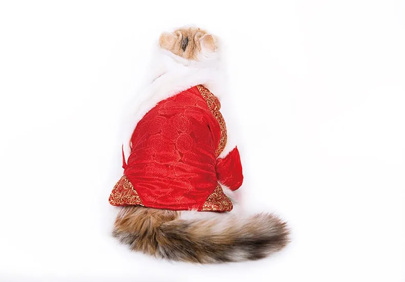 Hoopet красная одежда для домашних животных, кошек, собак китайская одежда для питомца одежда с золотым принтом и меховым воротником, платье для кошек теплая куртка