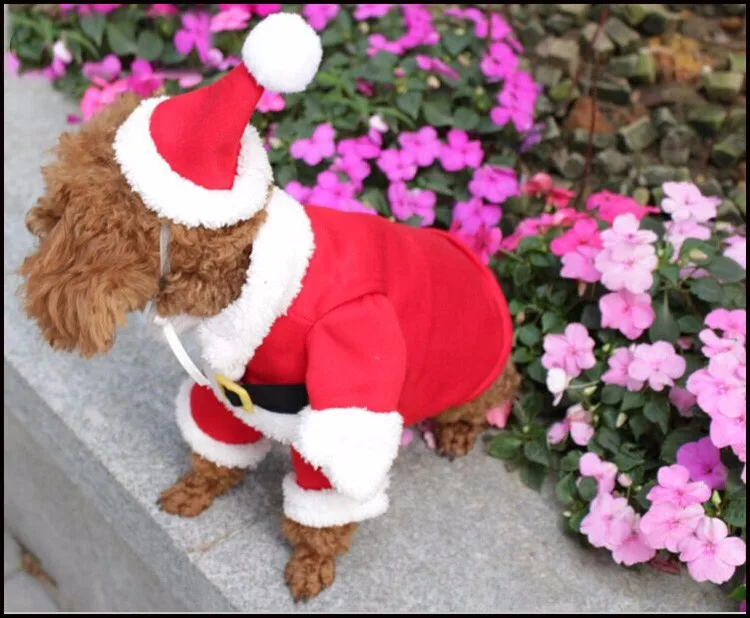 Apaulapet Рождественская собака одежда для домашних животных, котов; маскарадное платье зимняя одежда хлопковая флисовая одежда для собак Ropa Para костюм для собаки пальто