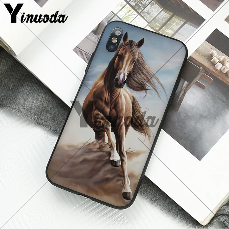 andalusian horse