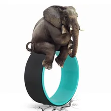 Yoga Circles Pilates Professional Waist Shape Bodybuilding Gym Workout Back Training Wheel For Fitness Bearing 200kg 33*12CM