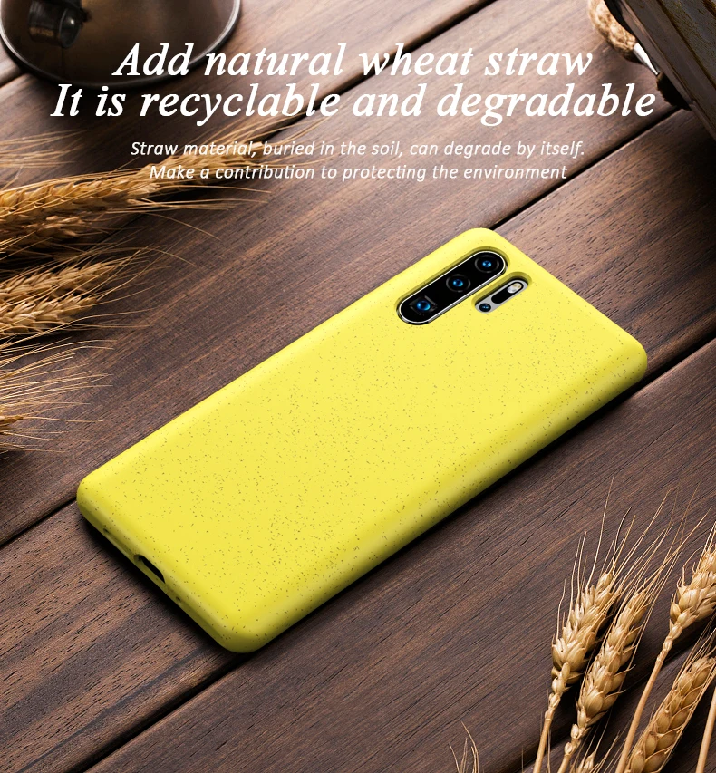 Huawei P30 Pro Case (2)