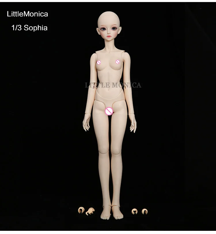 Sophia_12