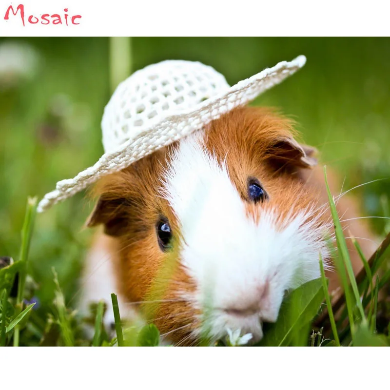 

5pcs diamond painting full square display volledig,Diamond Embroidery sale,5d Diamond Mosaic decor Guinea pig animal picturen