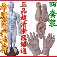 Меридиан через человеческое тело модель точечной акупунктуры рук, ног и уха Модель Набор Массаж женщина/мужская модель