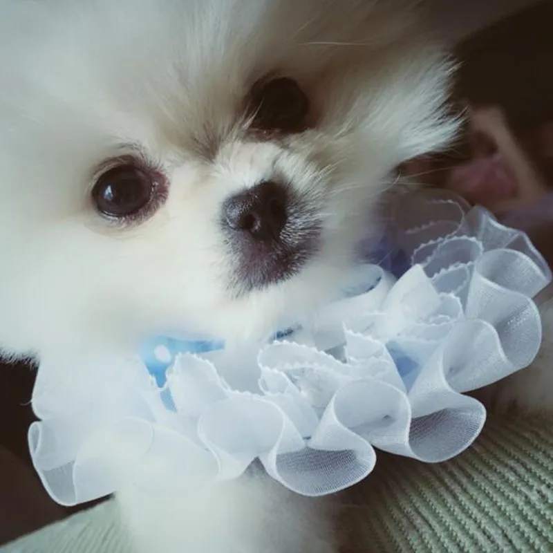 QQ20170923144540
