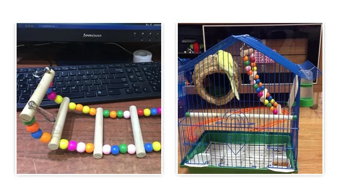 6_