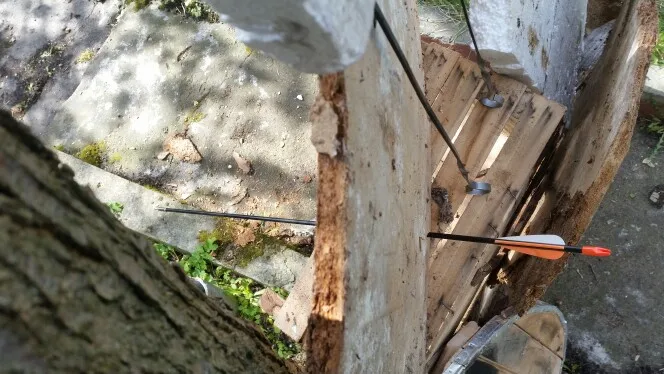 UT8u2EbXV8XXXagOFbXy