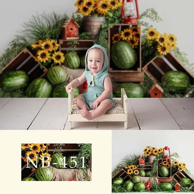 Тематический фон для фотосъемки с изображением арбуза подсолнуха для новорожденных детей, фон для фотосъемки детей на день рождения, баннер для детской фотосъемки