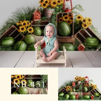 

Watermelon Sunflower Theme Photography Backdrop Newborn Baby Photo Background Child Birthday Banner Baby Shower Photo Booth