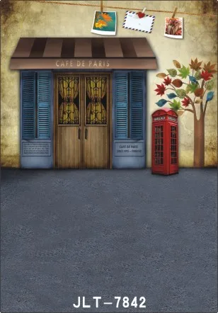

300cm*400cm Vinyl Custom Photography Backdrops Prop Digital Photo Studio Background  S-7842