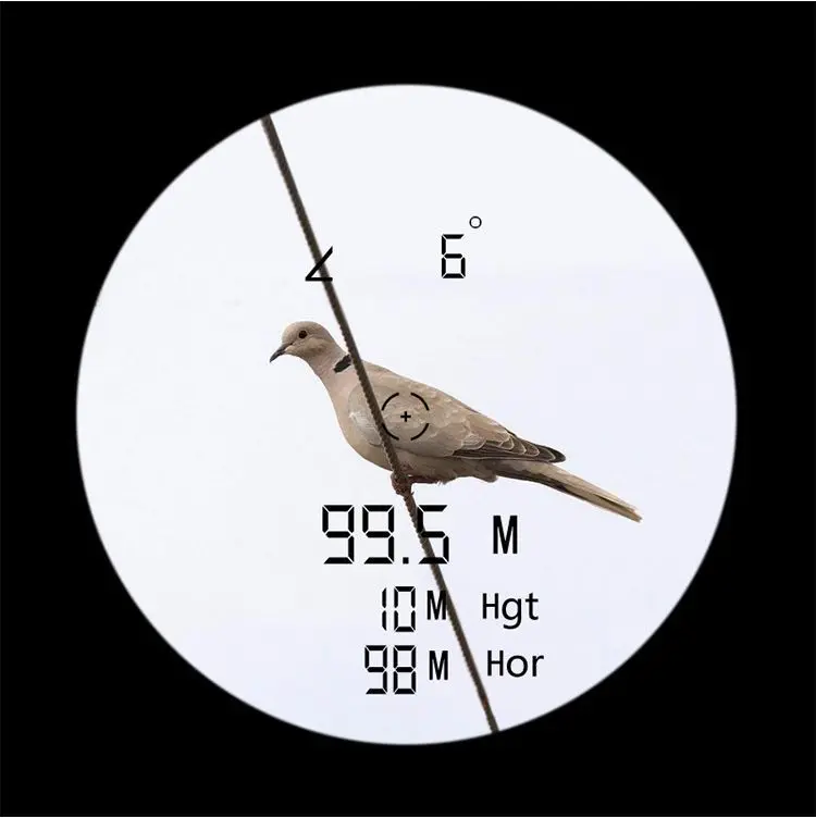 4817625433_1956357659
