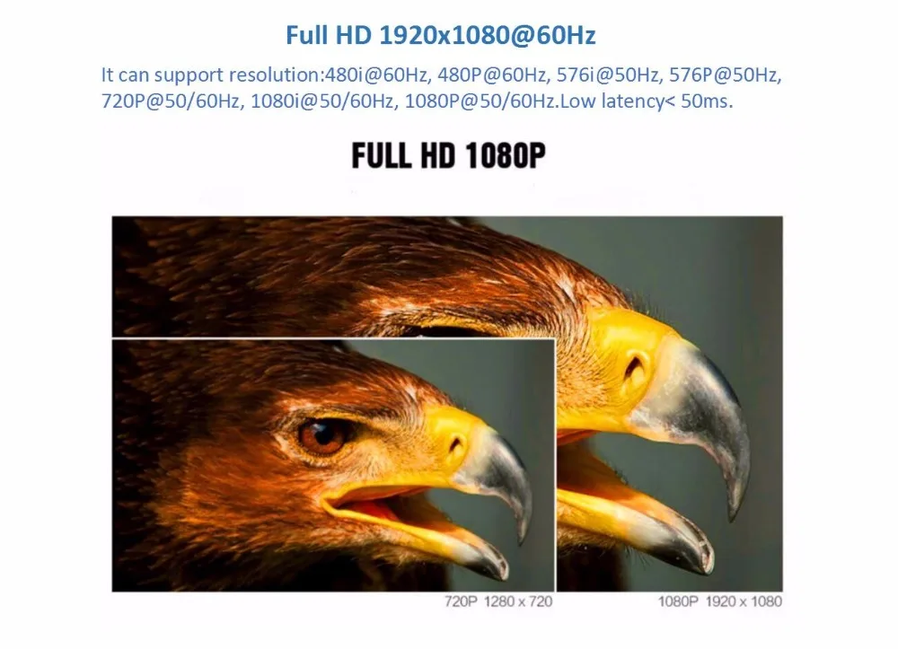 DT215W(012)
